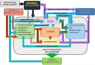 Frontiers | CEA Systems: The Means To Achieve Future Food Security And ...